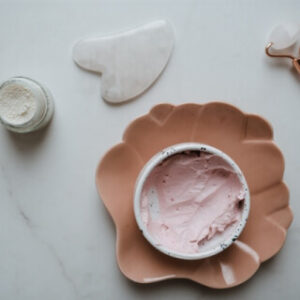 Ficus Decora Cabernet